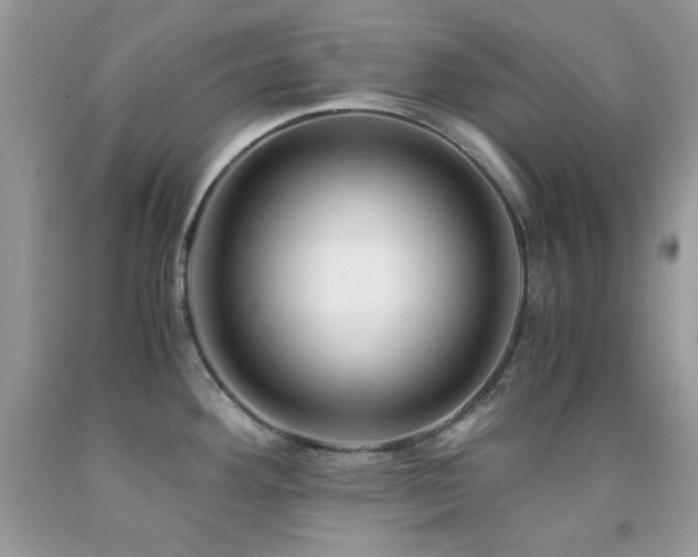 X0000092021292200709061545