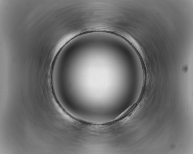 X0000092021293200709061545