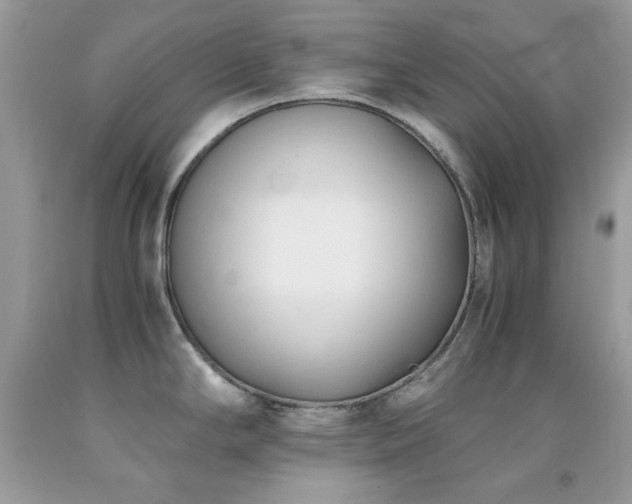 X0000092021294200709061545