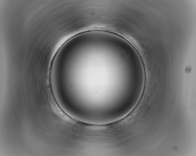 X0000092021296200709061545