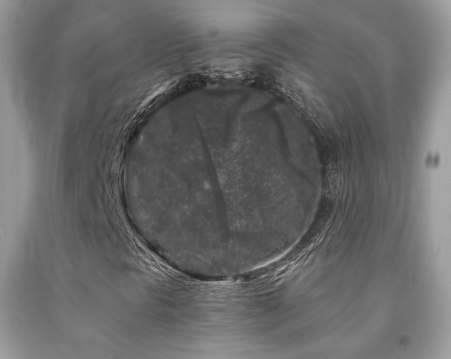 X0000092021297200709061545