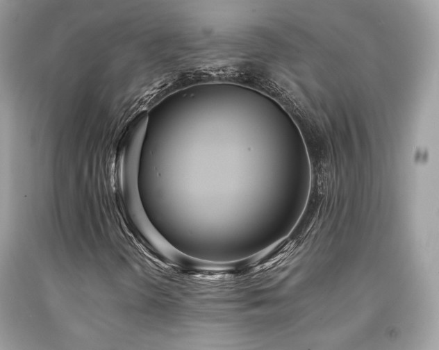 X0000092021298200709061545