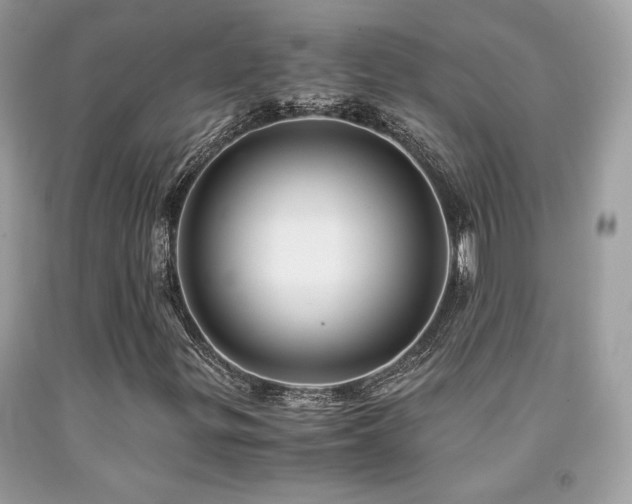X0000092021299200709061545