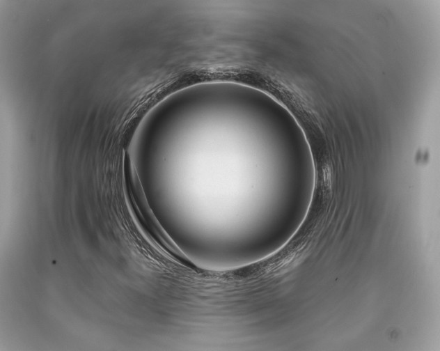 X0000092021300200709061545