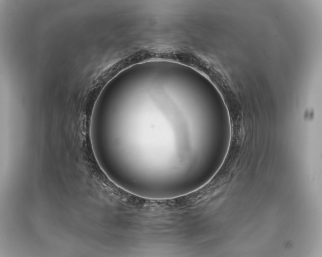 X0000092021301200709061545
