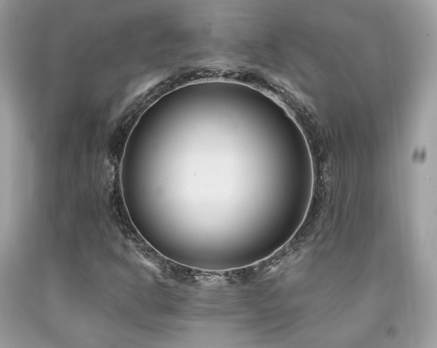 X0000092021302200709061545