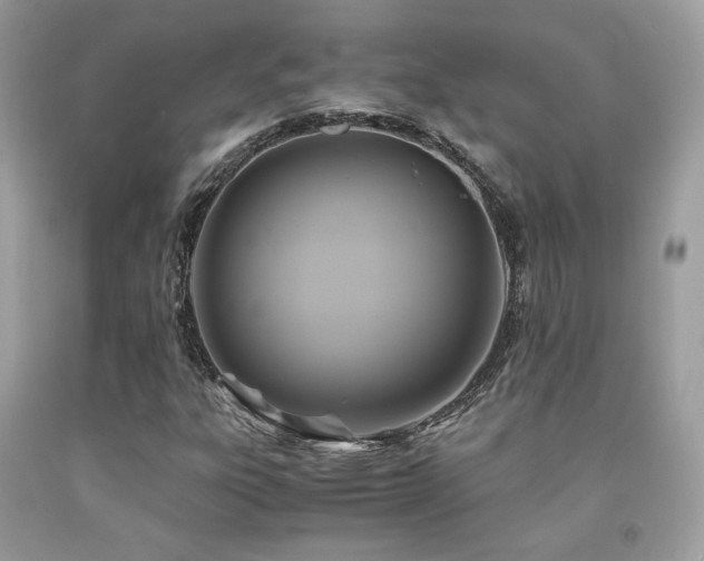 X0000092021303200709061545
