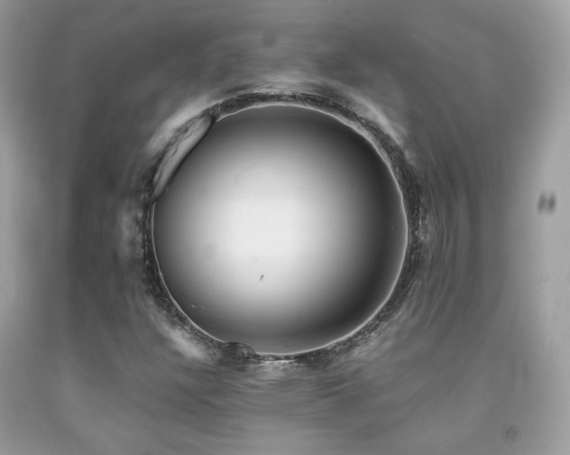 X0000092021304200709061545