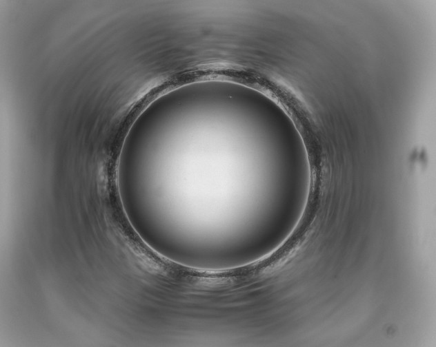 X0000092021305200709061545