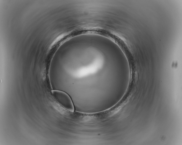 X0000092021306200709061545