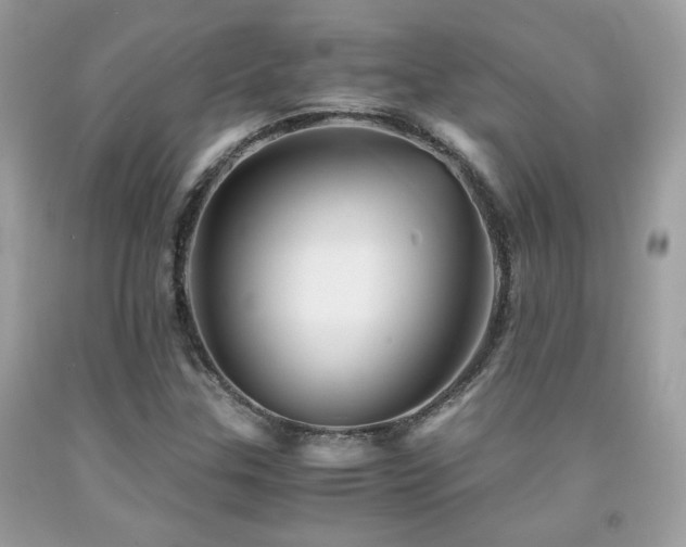 X0000092021307200709061545