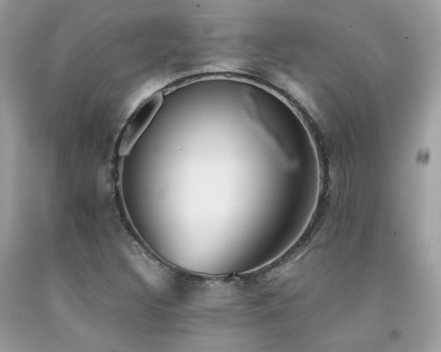 X0000092021308200709061545