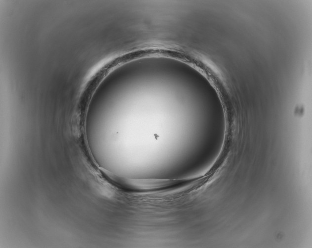 X0000092021310200709061545