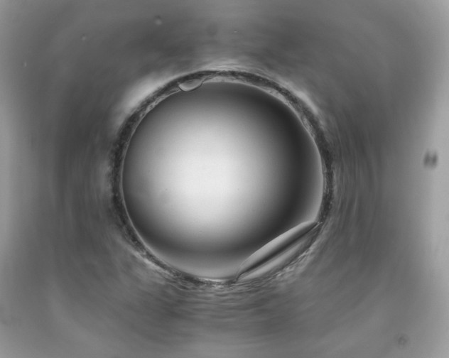 X0000092021311200709061545