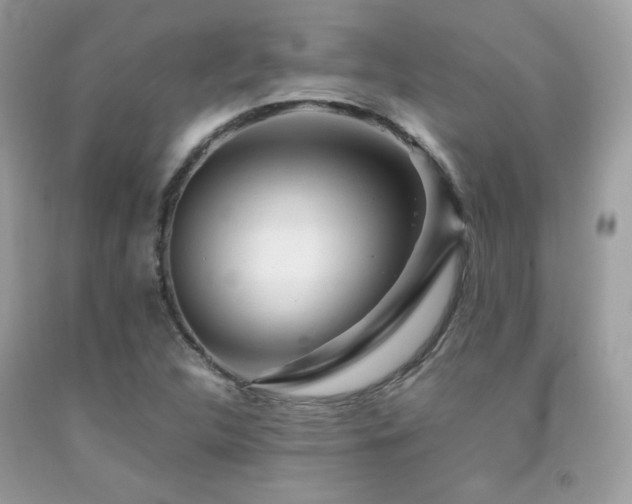 X0000092021312200709061545