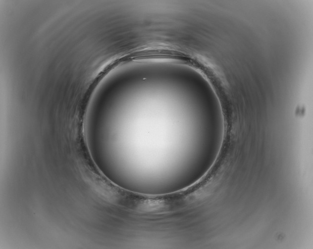 X0000092021313200709061545