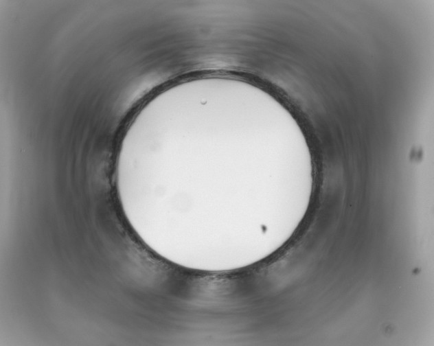 X0000092021314200709061545