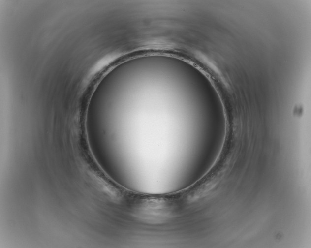 X0000092021315200709061545