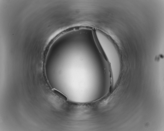 X0000092021316200709061545