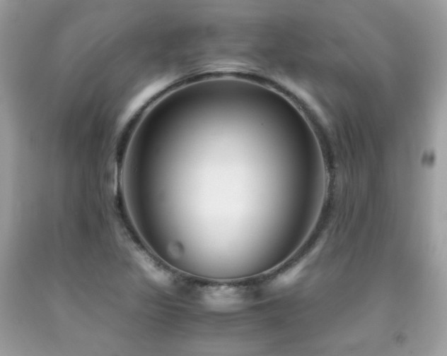 X0000092021317200709061545