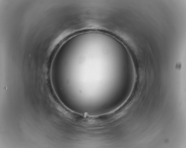 X0000092021318200709061545