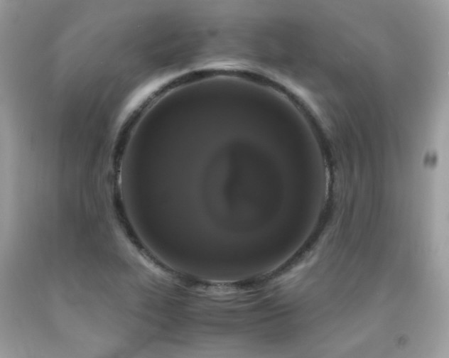 X0000092021319200709061545