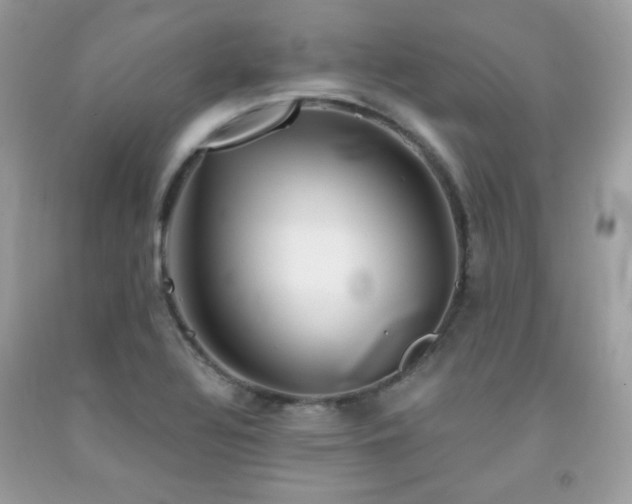 X0000092021320200709061545
