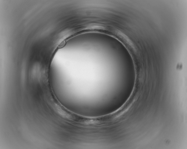X0000092021321200709061545
