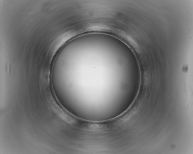 X0000092021322200709061545