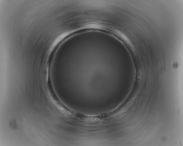 X0000092021323200709061545