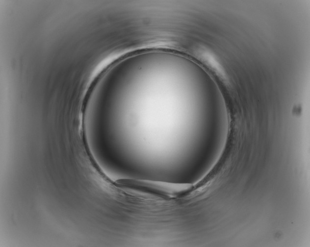 X0000092021324200709061545