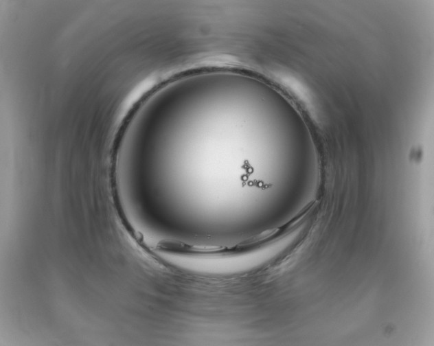 X0000092021326200709061545