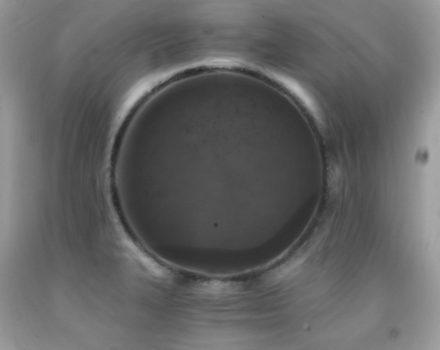 X0000092021327200709061545