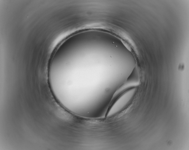X0000092021328200709061545