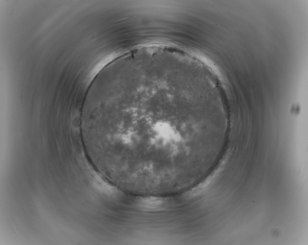 X0000092021329200709061545