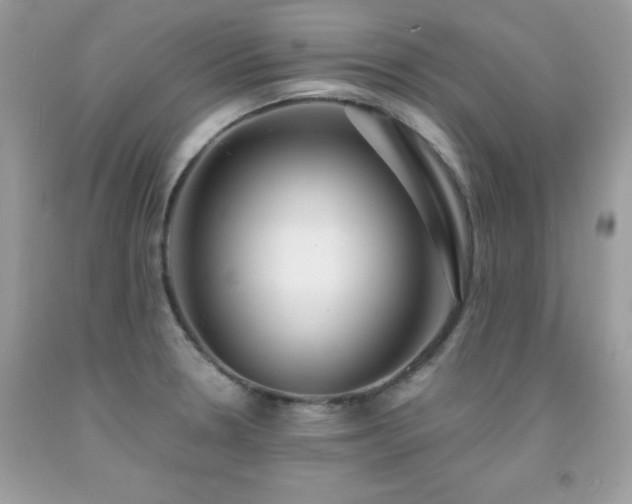 X0000092021330200709061545