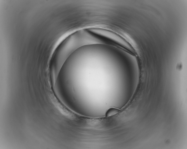 X0000092021332200709061545