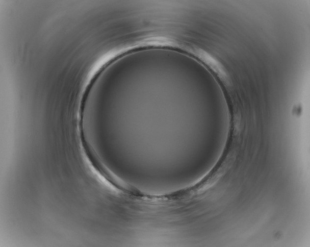 X0000092021334200709061545