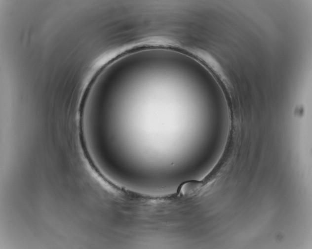 X0000092021335200709061545
