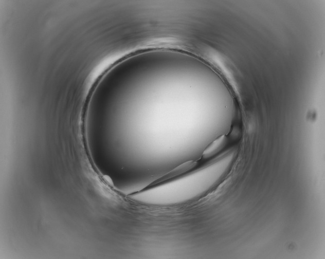 X0000092021336200709061545