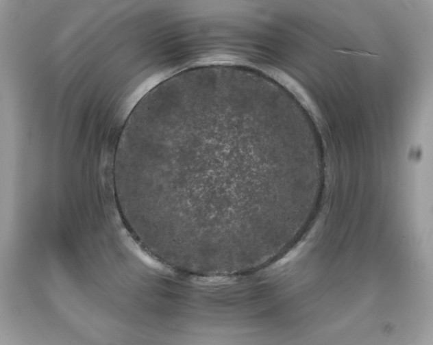X0000092021337200709061545