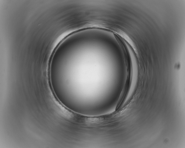 X0000092021339200709061545