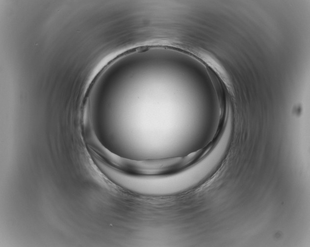 X0000092021340200709061545