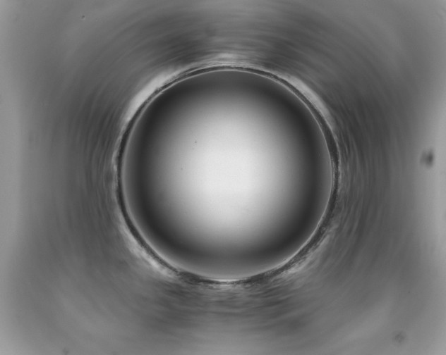 X0000092021341200709061545