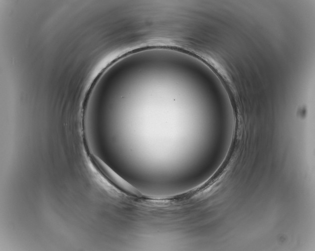 X0000092021342200709061545