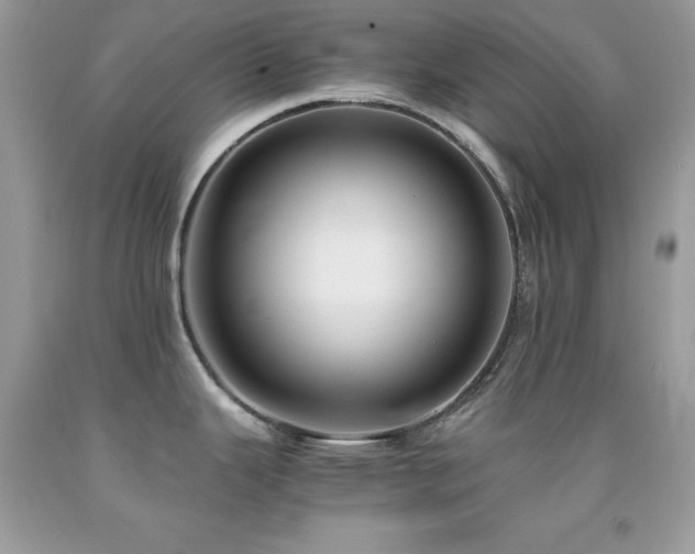 X0000092021343200709061545