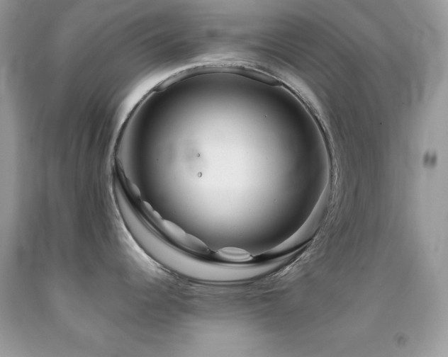 X0000092021344200709061545