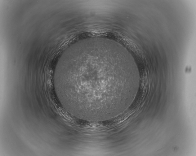 X0000092021346200709061545