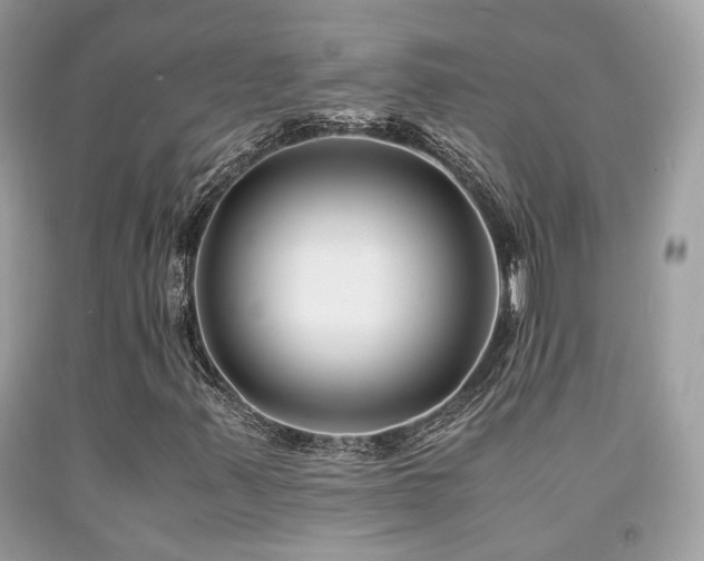 X0000092021347200709061545