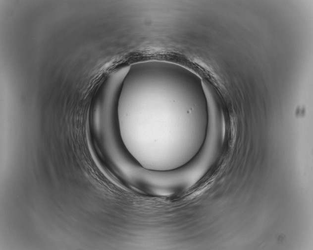 X0000092021348200709061545